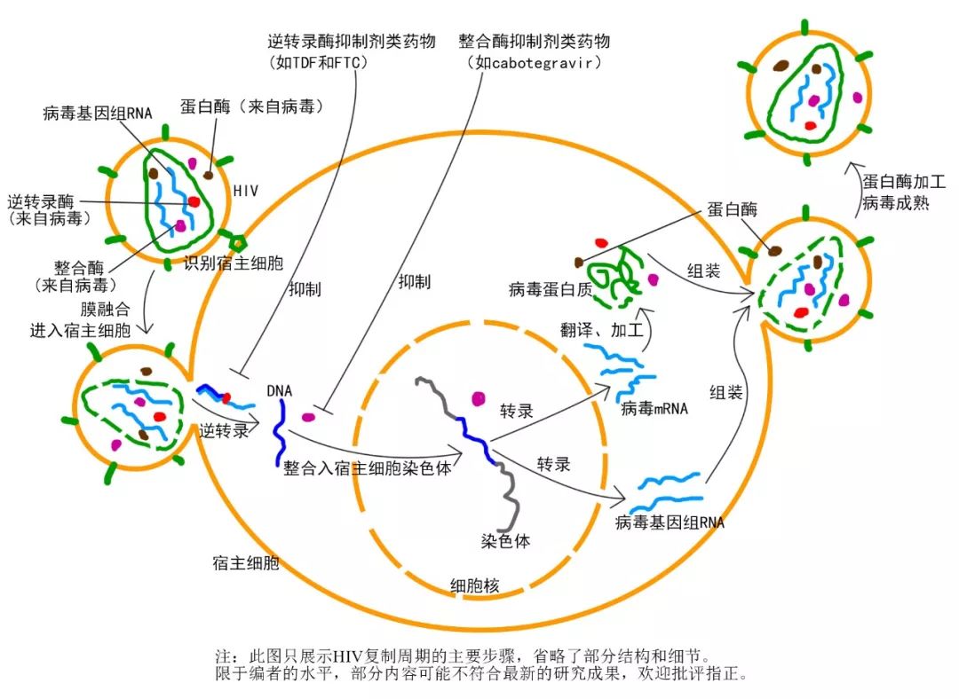 原文配图